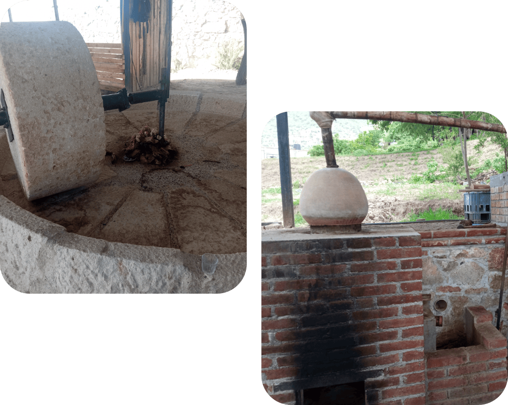 proceso-5